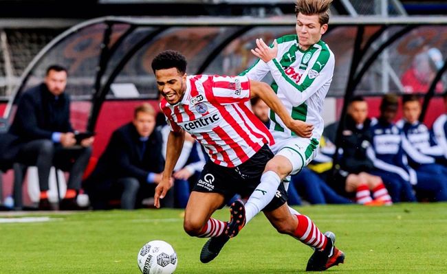 球俱乐部树 球俱乐部树