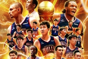 球队利益的 球队利益的